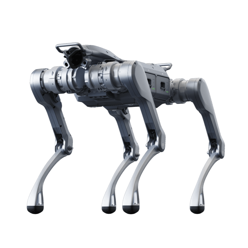 Unitree A2 Stellar Explorer